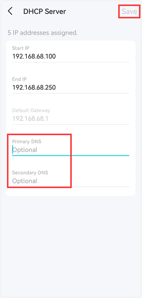 DHCP Server screen showing Primary and Secondary DNS fields.