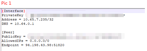 Supported WireGuard config file showing Interface and Peer sections with PrivateKey, Address, DNS, PublicKey, AllowedIPs, and Endpoint.