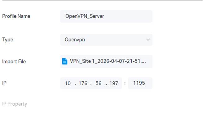 An example of import OVPN file into the remote device.