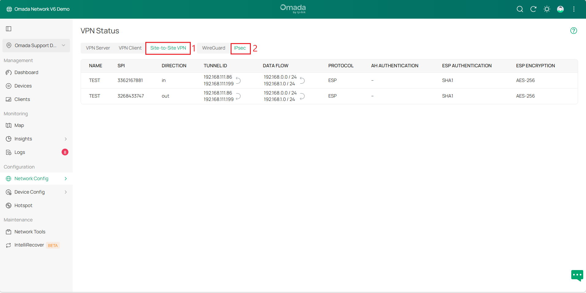 Display the Manual IPsec VPN tunnels.