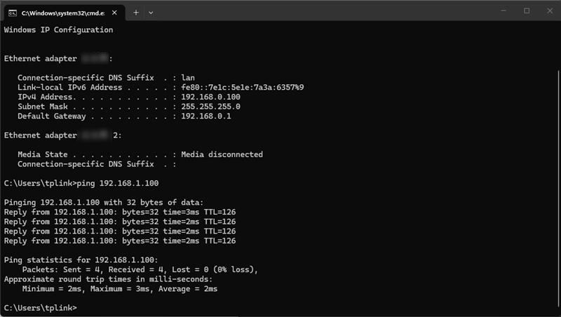 Show the ping result page.