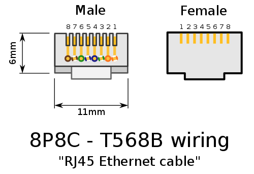 Diagram showing RJ45 male connector (6mm high, 11mm wide) and female port side by side.