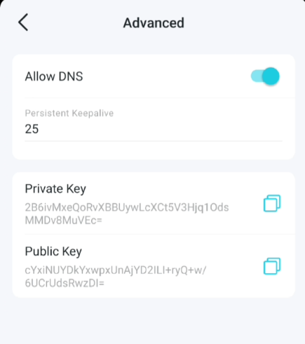 WireGuard VPN Advanced settings showing Allow DNS toggle enabled, Persistent Keepalive, and Private and Public Key fields.