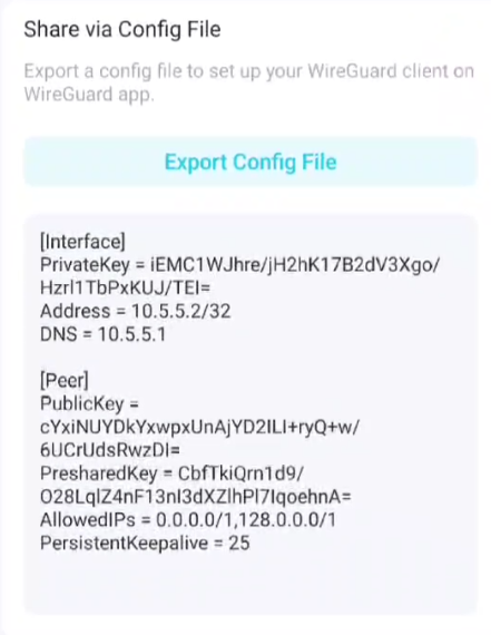 Connect to Server screen showing Share via Config File section with Export Config File button and config file preview.