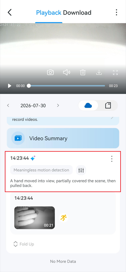 Video video summaries in Camera Playback & Download page.