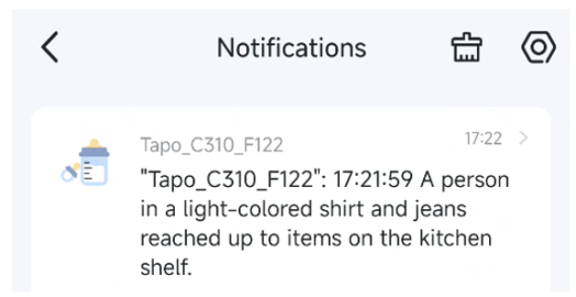 A screenshot from Tapo app showing a detailed person detection notification.