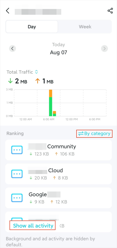 Day view page displaying the device’s total traffic usage, app usage ranking, and two switches: rank by category, show all activity.