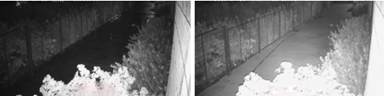 Comparison of images before and after BLC Area adjustment, with the optimized image on the right.