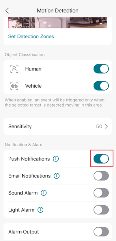 VIGI App Motion Detection settings showing Push Notification and Email Notification options