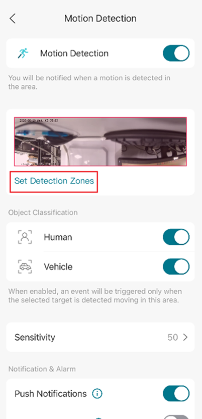 VIGI App Motion Detection settings showing the Set Detection Zones option