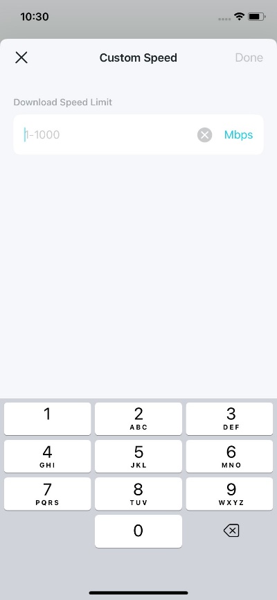 A blank space for entering the custom speed.