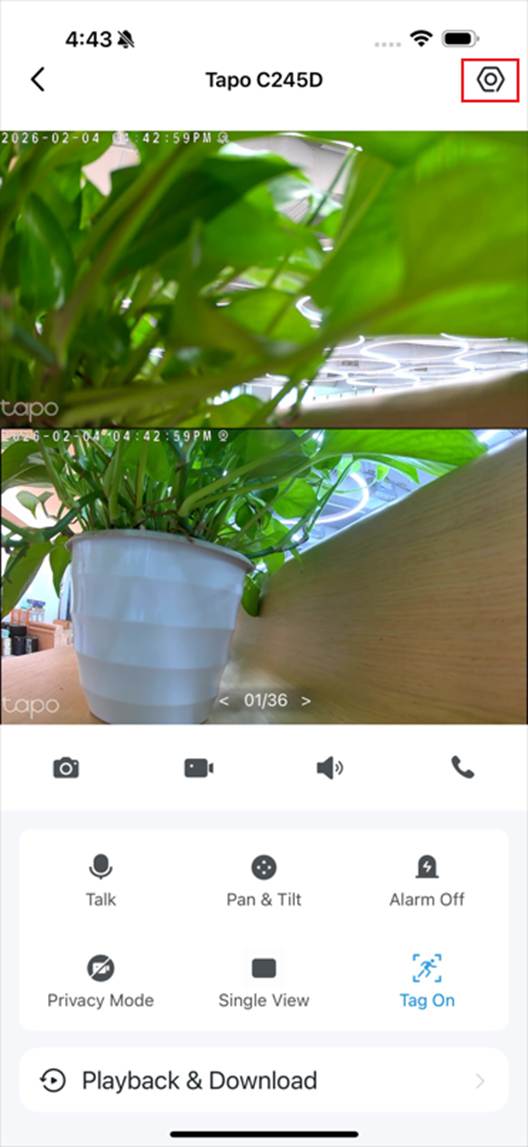 ALT-Text: Einstellungssymbol auf der Live-Ansicht.