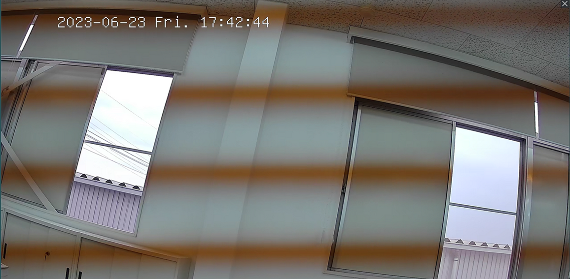 VIGI Camera live view showing horizontal flickering bands caused by artificial lighting