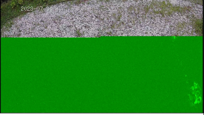VIGI camera live view showing green and pixelated image artifacts