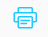 Print icon.