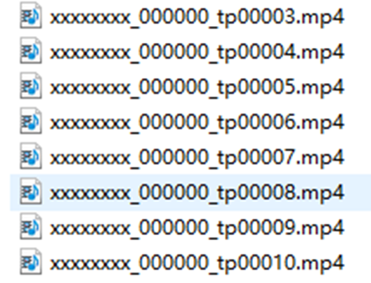 ALT-Text: Liste von MP4-Dateien auf einer SD-Karte, die vorab angelegte und von der Kamera reservierte Videodateien darstellen.