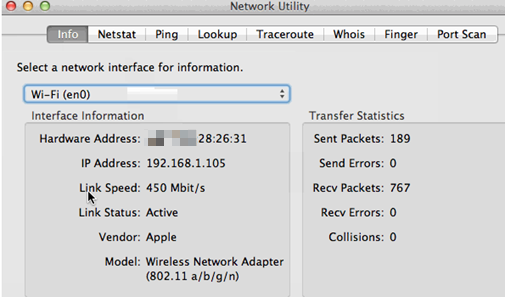 Network Utility page on Mac.