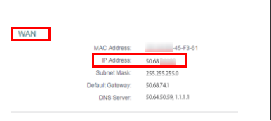 WAN info page.