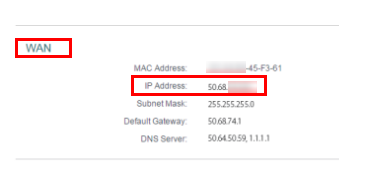 WAN info page.