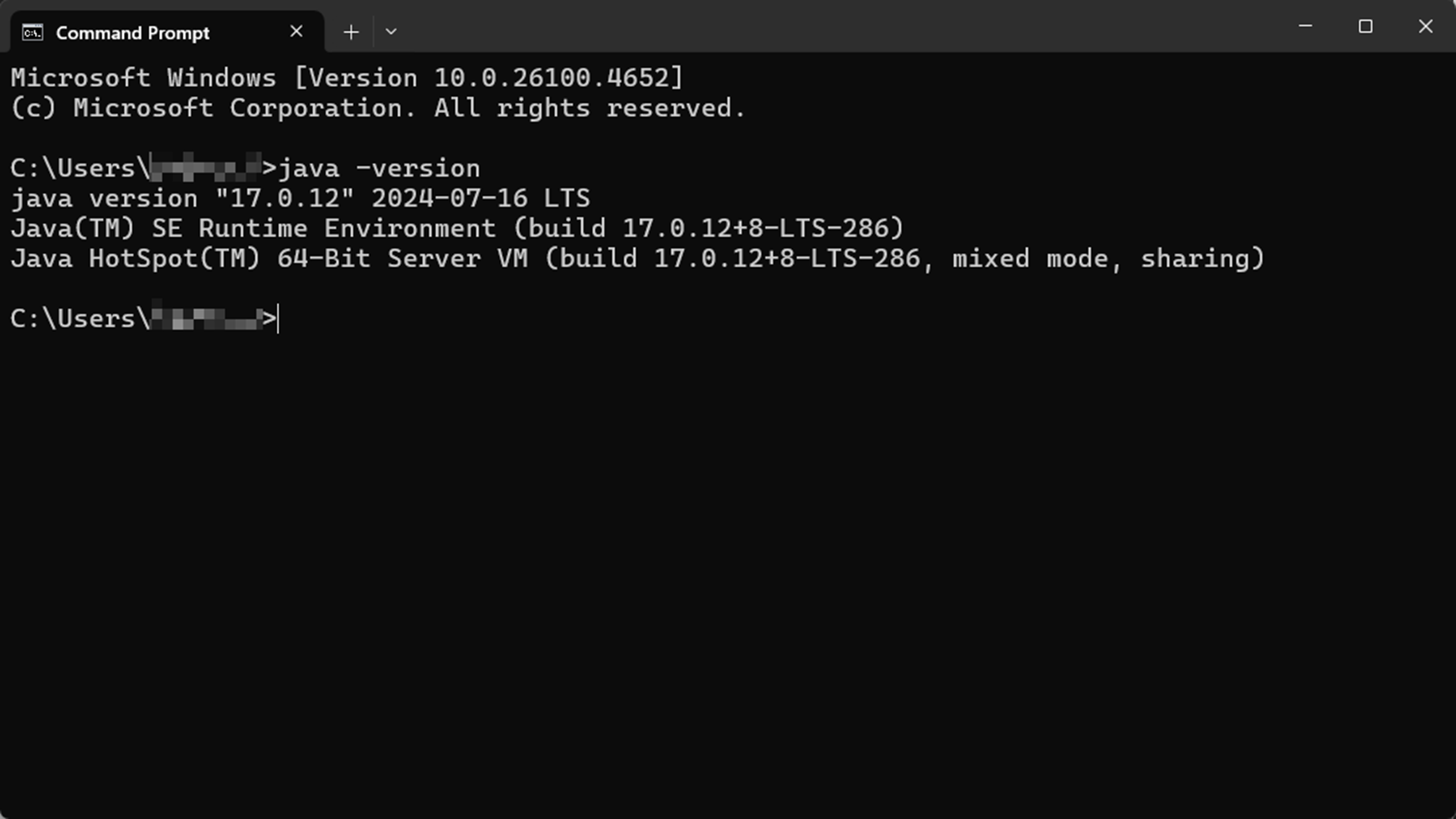 Alt text: Page to check java version on Windows PC.