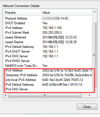 Network Connection Details.