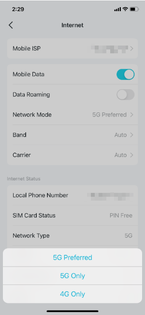 Network Mode options.