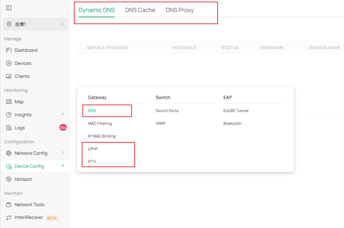 DNS/UPnP/IPTV of Gateway in Device Config tab.