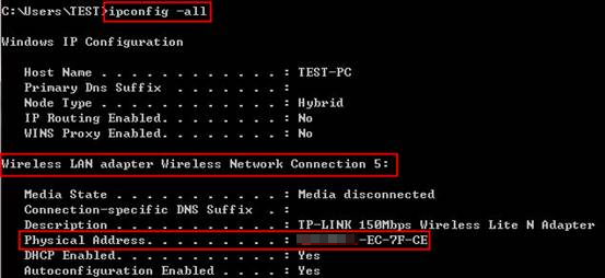 ipconfig result page.