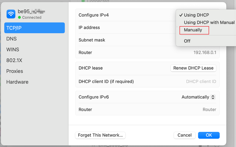 The TCP/IP page details.