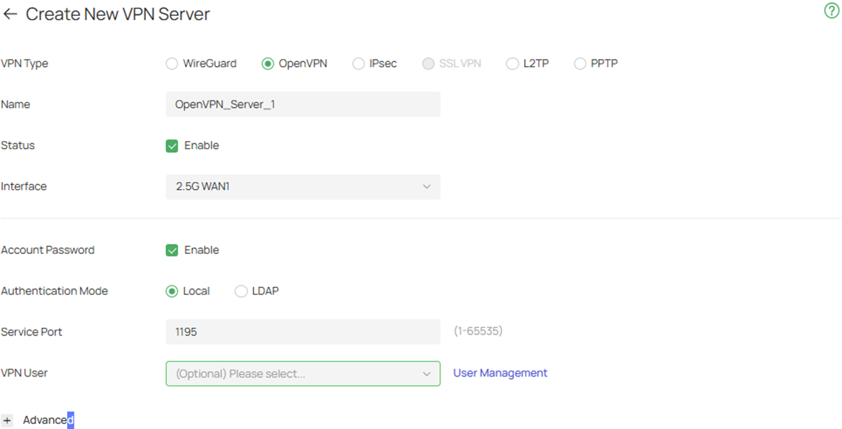 Fill in necessary parameters for the OpenVPN Server.