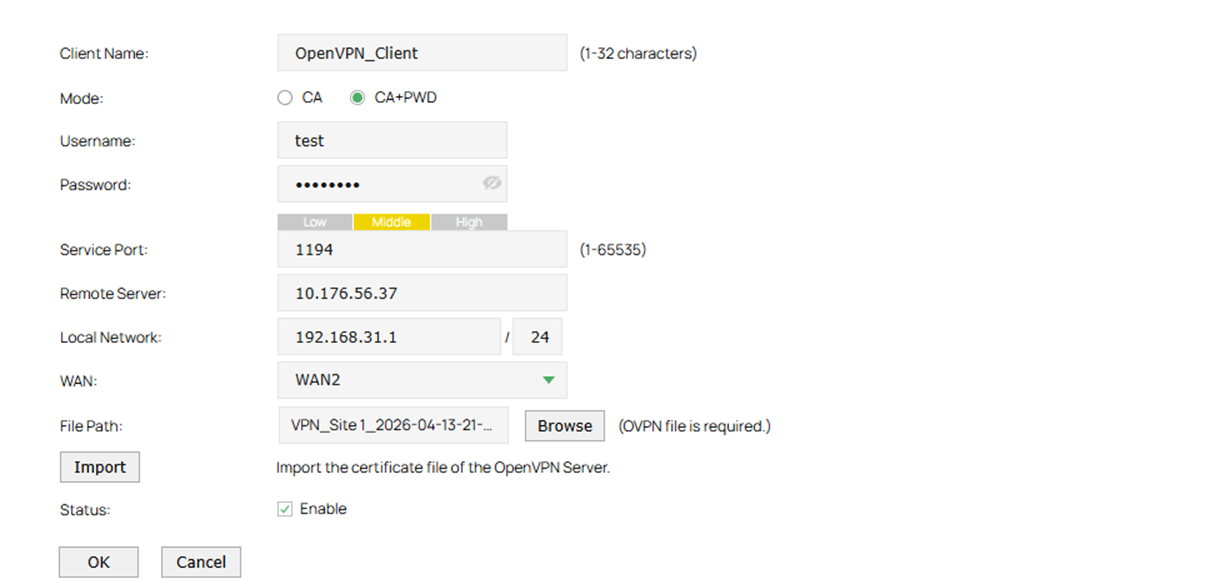 Fill in parameters for the OpenVPN client.