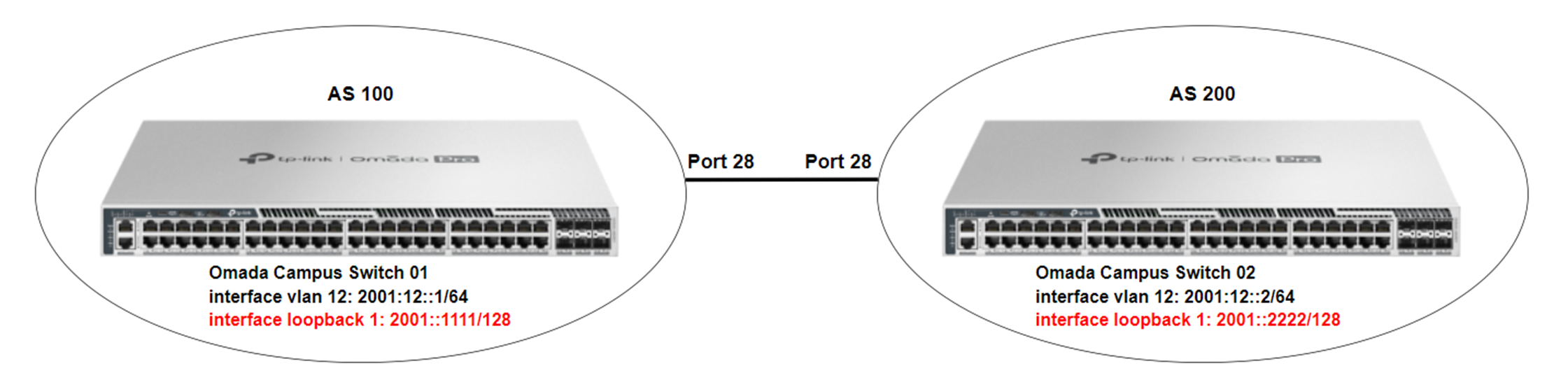 Show the network topology diagram for this verification.
