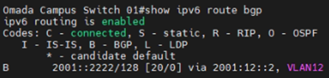 Show an example of checking the BGP route entries of Switch 01.