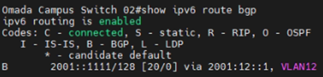 Show an example of checking the BGP route entries of Switch 02.