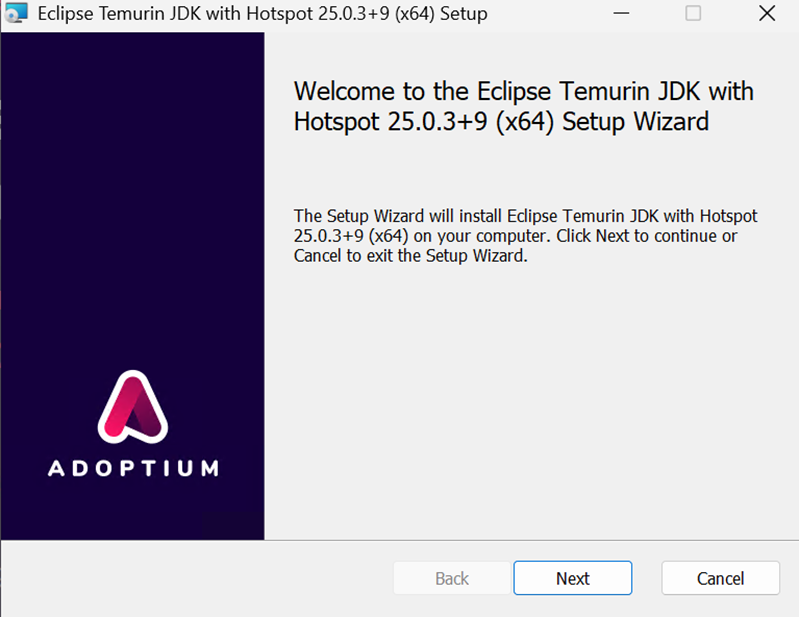 \JDK installation page(1).