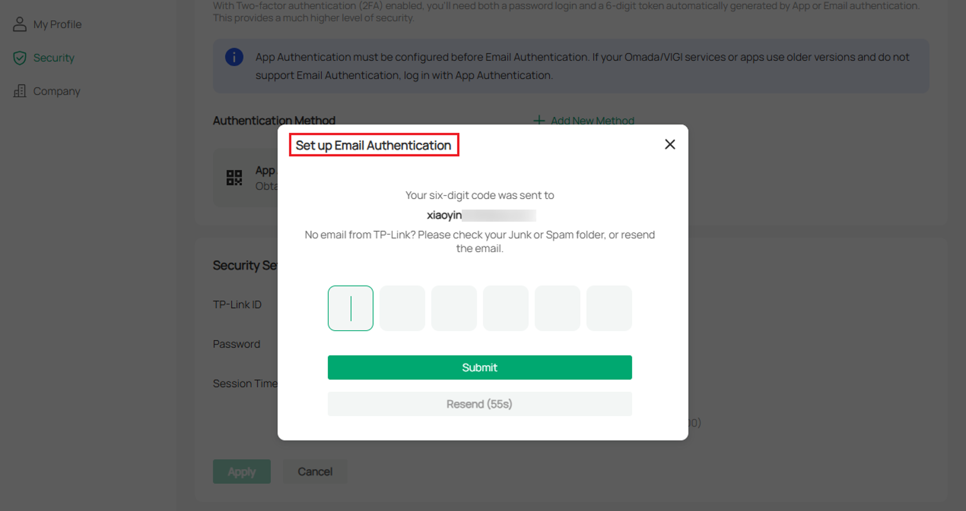 A screenshot showing the page wating for email verification code.