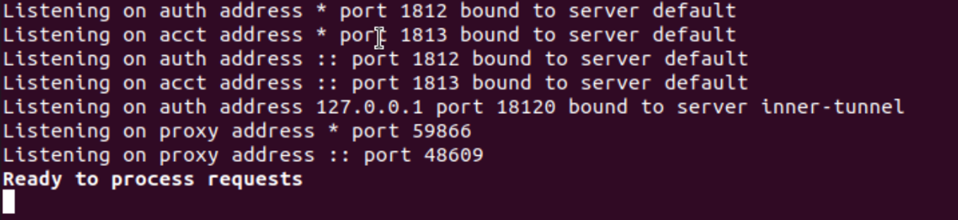 check whether the RADIUS server is working properly by running "radiusd –X".