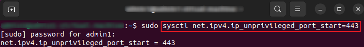 A screenshot showing the command line execution.