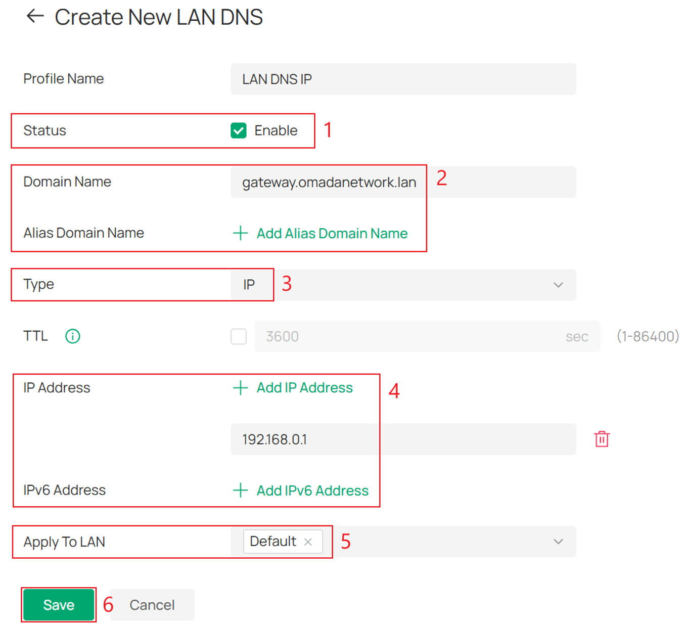 LAN DNS rule configuration page with Type set to IP.