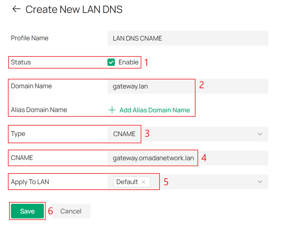 LAN DNS rule configuration page with Type set to CNAME.