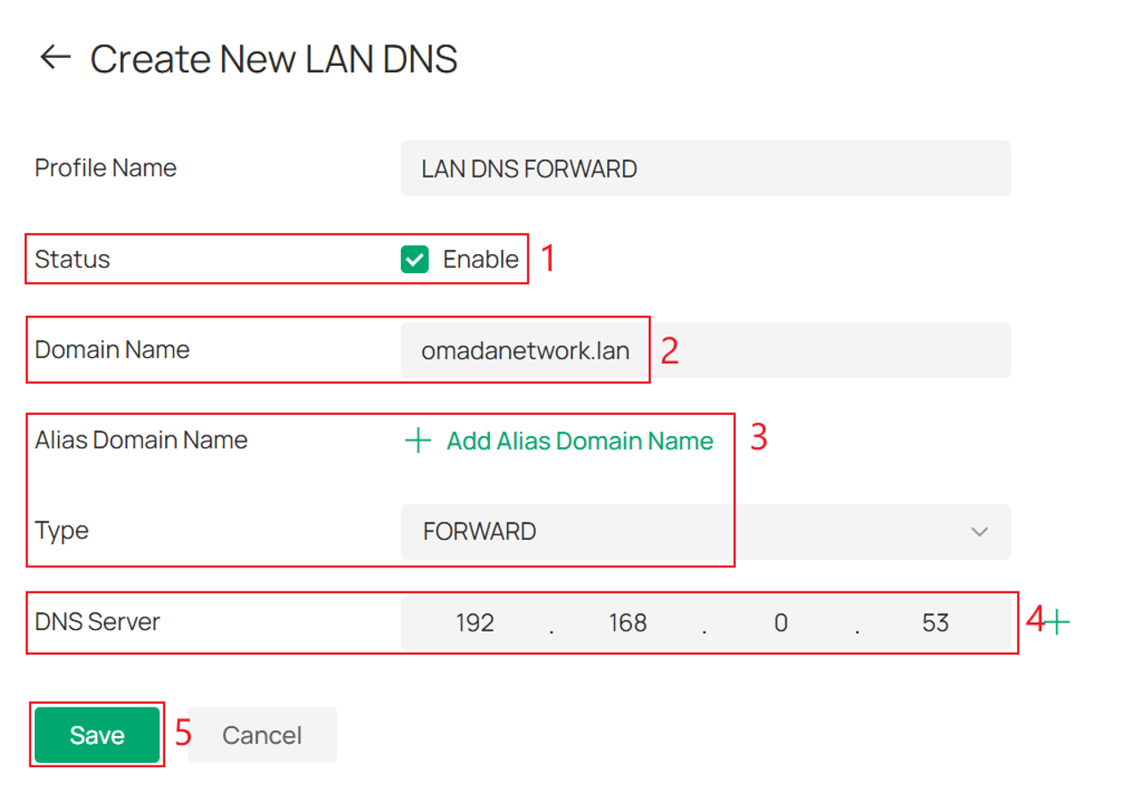 LAN DNS rule configuration page with Type set to FORWARD.