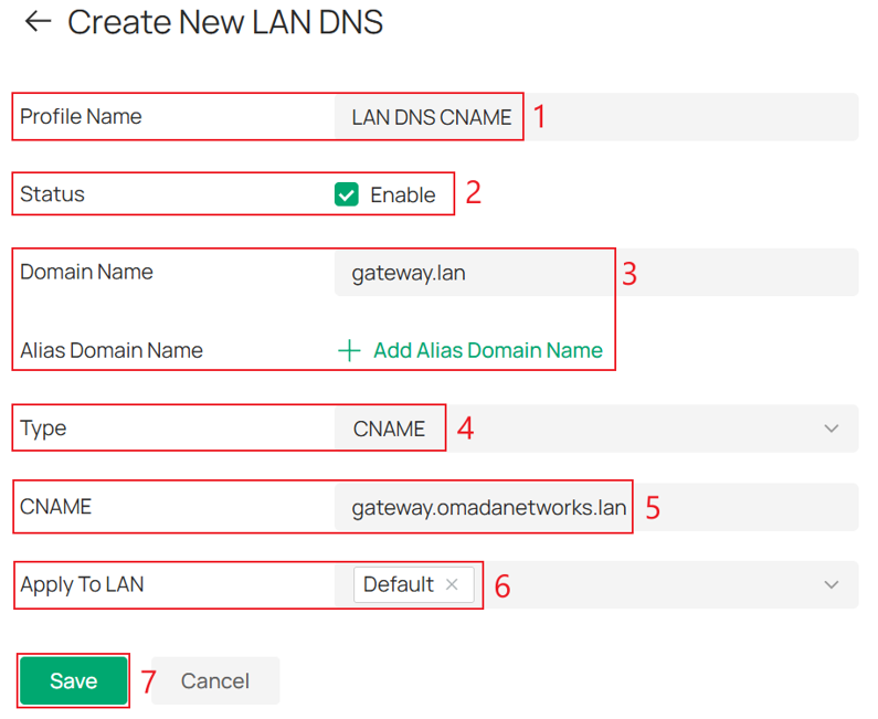 LAN DNS rule configuration page with Type set to CNAME.