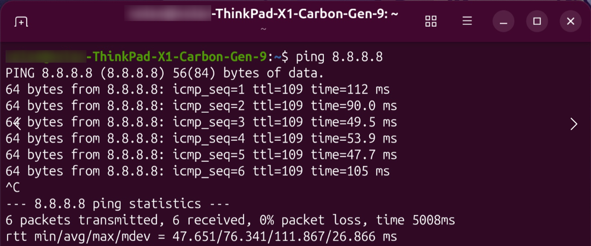  terminal output showing the network can access Internet normally.