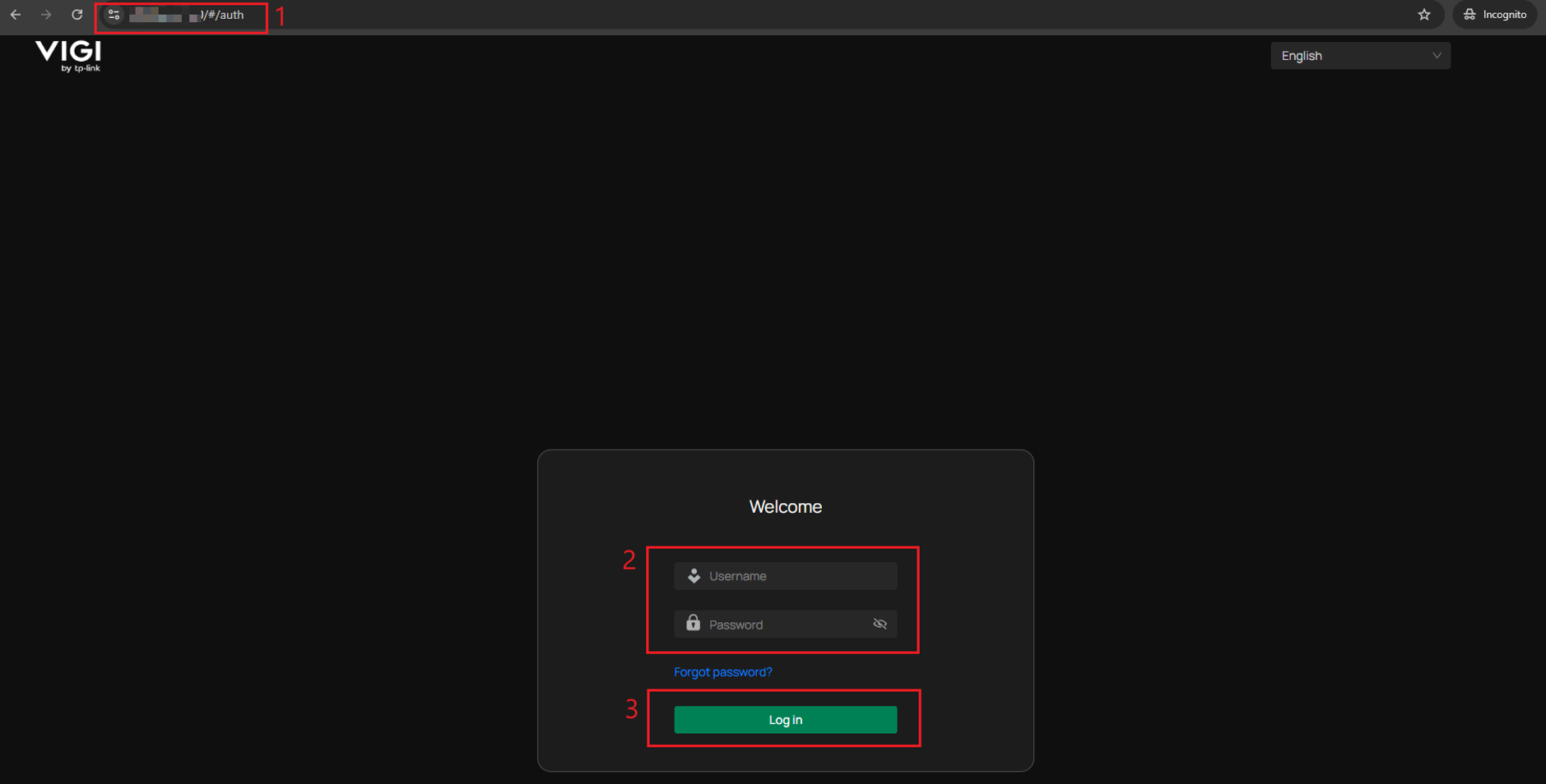 The web login page of the VIGI camera.