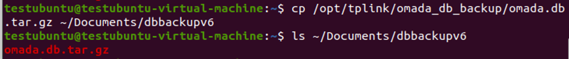 Terminal shows copy it to the folder /Document/dbbackupv6.