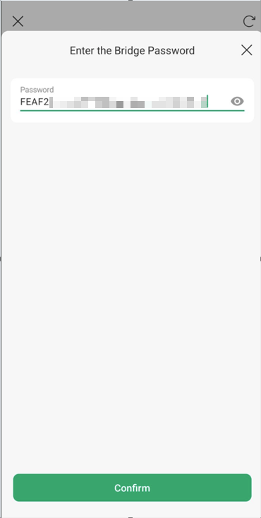 Interface prompting to input a specific Bridge Password.