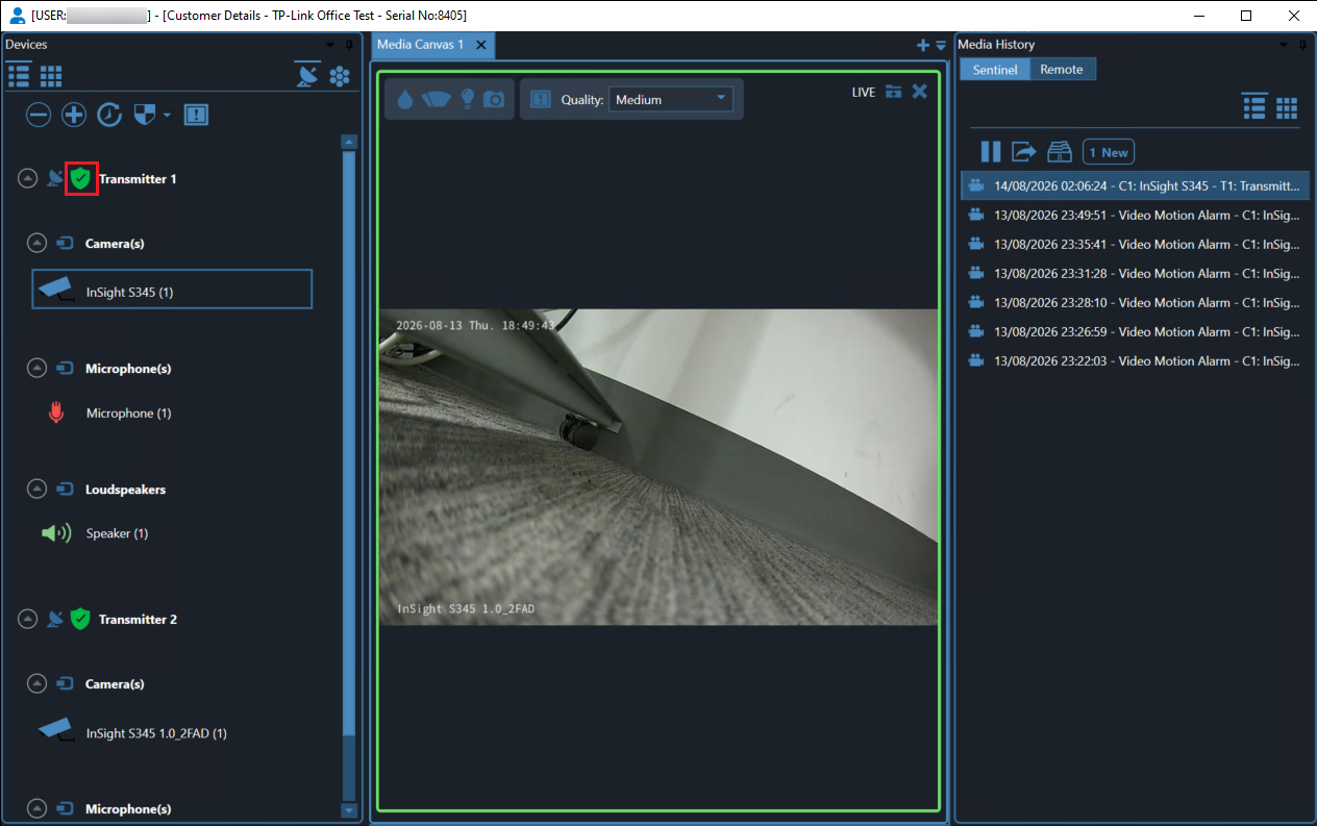 Sentinel CCTV window showing a selected VIGI camera with live video.