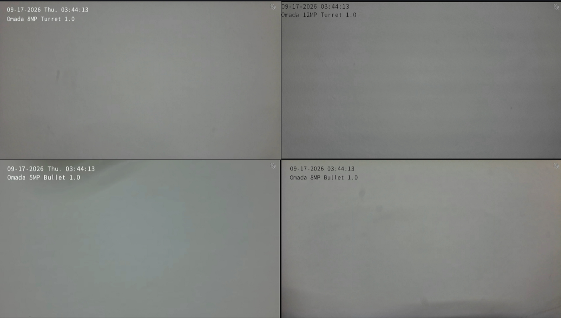 Omada SightCast display showing the synchronized four-camera view.