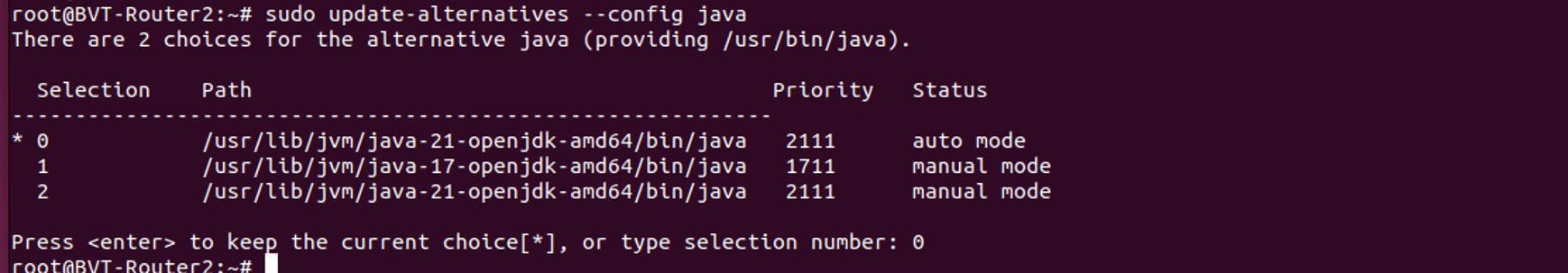 Ubuntu terminal showing OpenJDK 21 selected as the default Java version using update-alternatives.