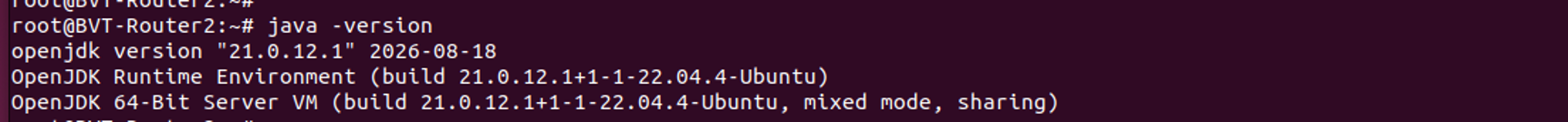 Ubuntu terminal showing java -version output confirming OpenJDK 21 and a 64-bit runtime.